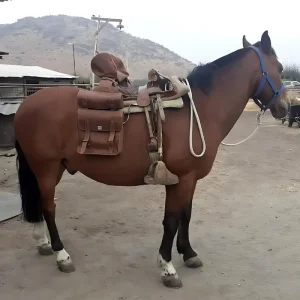 Alforja para caballo